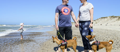 Vores nye ”Zuzugsberaterin” Johanna Mayrberger er her fotograferet på stranden i Hvide Sande sammen med sin mand, deres datter og to hunde
